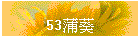53�Z��