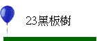 23�ªO��