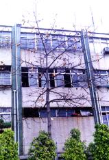 ��֪�1.JPG (12772 bytes)