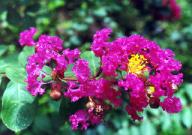 ����.JPG (8348 bytes)