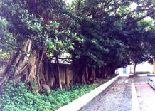 �_��.JPG (12346 bytes)