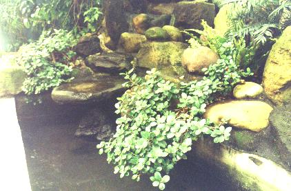 �p���_-2.JPG (34402 bytes)