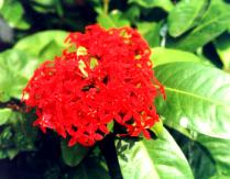 �j���P��1.JPG (9794 bytes)