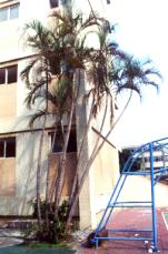 �����l.JPG (10266 bytes)