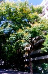 �x�W���.JPG (13666 bytes)