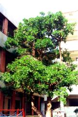 ���.JPG (14424 bytes)