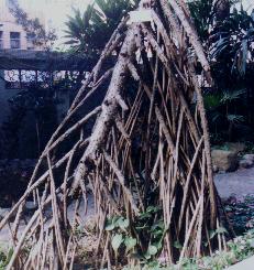 �L��1.JPG (20164 bytes)