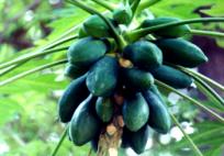 ���2.JPG (8727 bytes)