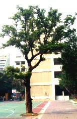 �X�V.JPG (11729 bytes)